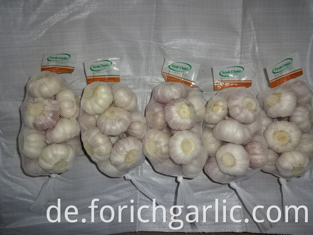 Fresh Garlic For Sale